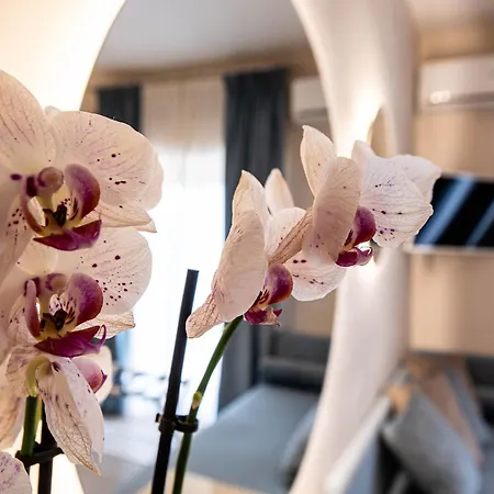 Tra Templi E Mare Luxury *